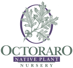 Octoraro Octoraro Native Plant Nursery Logo